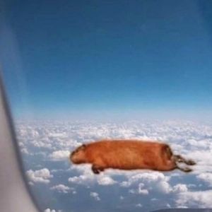 Meet your Posher, Micaela